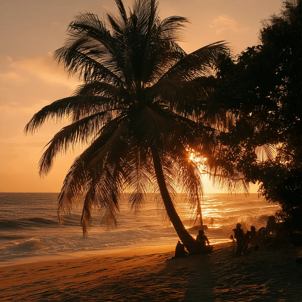 ডোমিনিকা